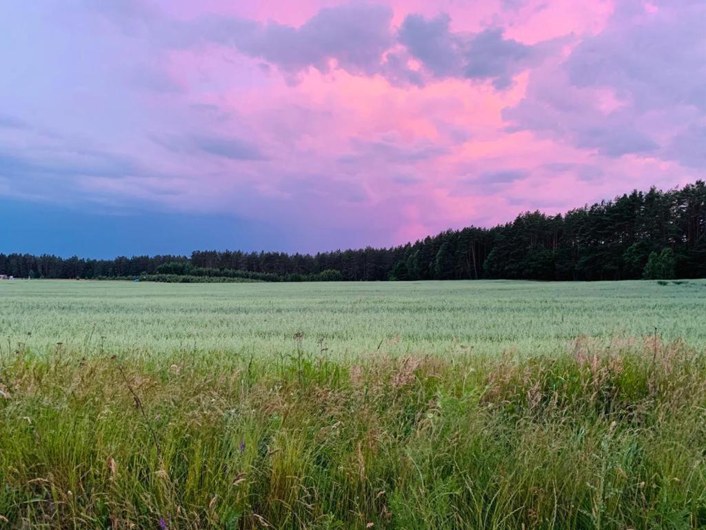 Kaszubka Villa Czarna Dabrowka Exteriör bild