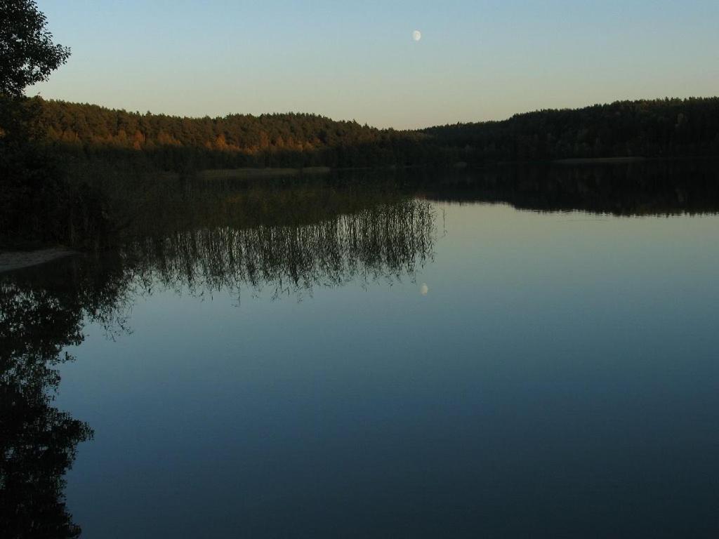 Kaszubka Villa Czarna Dabrowka Exteriör bild