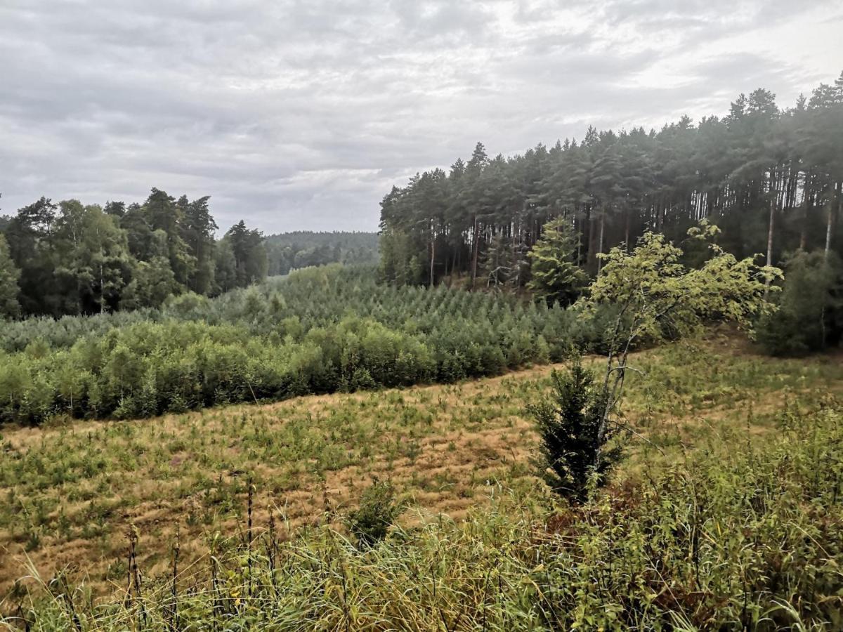 Kaszubka Villa Czarna Dabrowka Exteriör bild